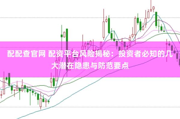 配配查官网 配资平台风险揭秘：投资者必知的几大潜在隐患与防范要点