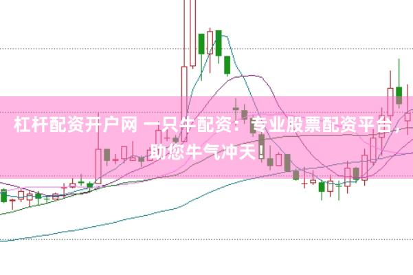 杠杆配资开户网 一只牛配资：专业股票配资平台，助您牛气冲天！
