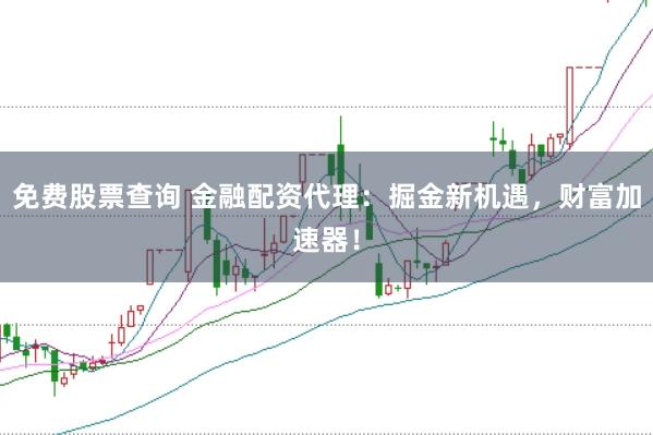 免费股票查询 金融配资代理：掘金新机遇，财富加速器！
