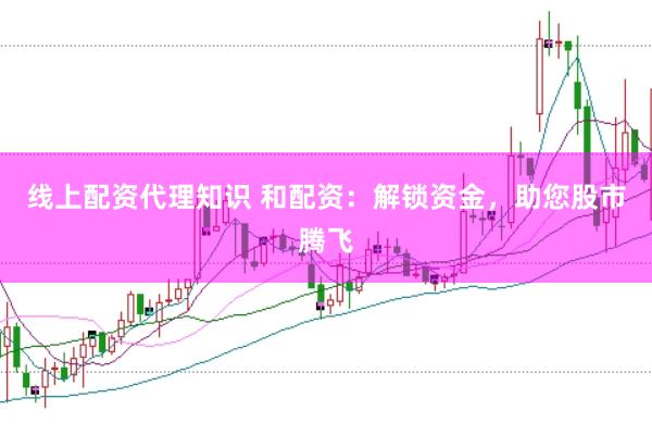 线上配资代理知识 和配资：解锁资金，助您股市腾飞