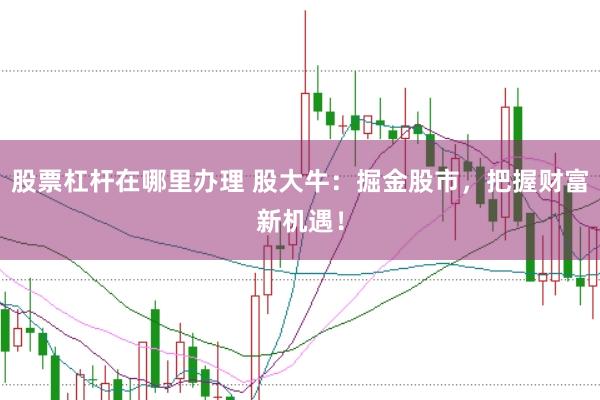 股票杠杆在哪里办理 股大牛：掘金股市，把握财富新机遇！