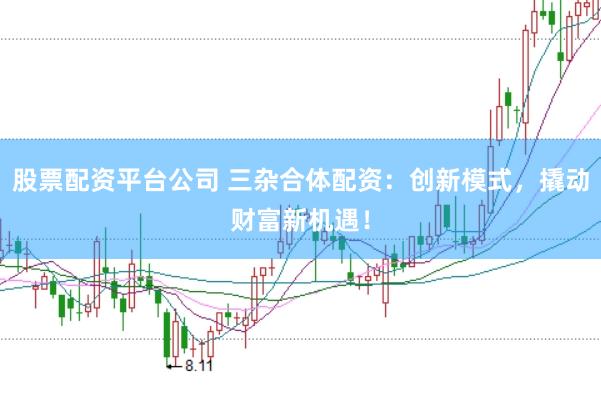 股票配资平台公司 三杂合体配资：创新模式，撬动财富新机遇！