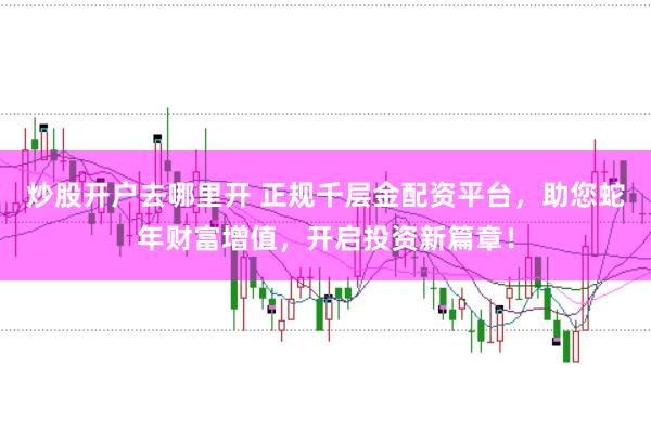 炒股开户去哪里开 正规千层金配资平台，助您蛇年财富增值，开启投资新篇章！