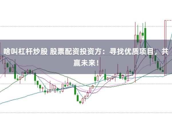啥叫杠杆炒股 股票配资投资方：寻找优质项目，共赢未来！