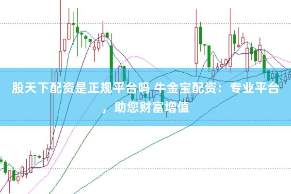 股天下配资是正规平台吗 牛金宝配资:专业平台,助您财富增值